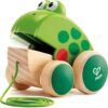 Push & Pull Toys