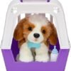 Interactive Pets