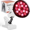 Light Therapy