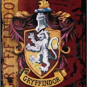 Northwest Harry Potter Micro Raschel Throw Blanket, Lightweight Breathable for Couch, Sofa, Cozy for All Seasons 46" x 60", Battle Flag