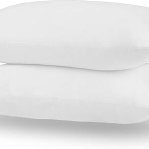 Acanva Bed Pillows 2 Pack Hotel Collection Luxury Soft Inserts for Sleeping-Breathable and Comfortable for Stomach Back Sleepers, King (Pack of 2), White 2 Count