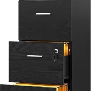 DWVO File Cabinets for Home Office 4 Drawer Filing Cabinet Office Vertical Files Storage File Drawers for A4 & Letter-Sized Documents,Black