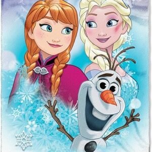 Northwest Disney Frozen, 'Snow Journey' Fleece Throw Blanket, 45' x 60', Multi Color, 1 Count