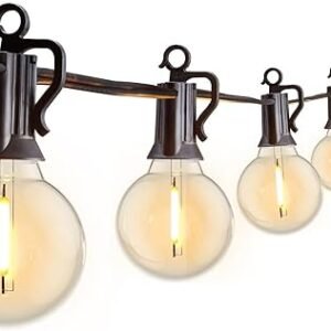 Outdoor String Lights 25 Feet G40 Globe LED Patio Lights with 13 Edison Plastic Bulbs(1 Spare), Waterproof Connectable Hanging Lights for Backyard Porch Balcony Party Decor, E12 Socket Base, Black