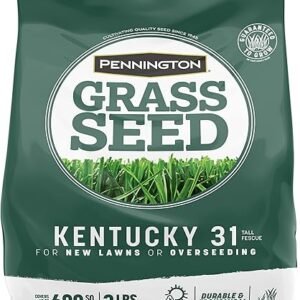 Pennington Kentucky 31 Tall Fescue Penkoted Grass Seed 3 lb