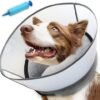 Dog Surgery Collar