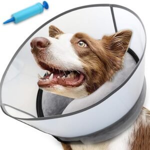 2-in-1 Inflatable Dog Cone Collar with Detachable Anti-Licking Shield, Soft Adjustable Elizabethan Collar for Dogs After Surgery (L, Grey)