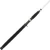 Fishing Rods