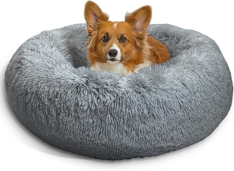 Best Friends by Sheri Original Calming Donut Dog and Cat Bed, Shag Faux Fur, Gray, Small (23x23) - Helps Provide Anxiety Relief for Pets