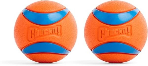 Chuckit! Ultra Ball Dog Toy - Medium Bouncy Fetch Balls For Dogs 20-60 lbs - Made from Durable Rubber - Floating Water Pet Toys - Size Medium - 2.5-inch Diameter - Pack of 2