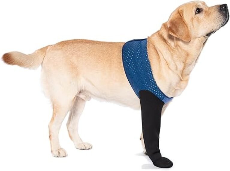 COODEO Dog Socks to Prevent Licking Paws, Dog Healing Boots & Paw Protectors with Non-Slip Bottoms to Protect Wounds, Waterproof Sleeve Dog Shoes for Licking (XXL_Left)