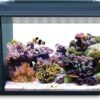 Aquariums