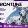 For Dogs