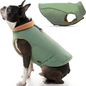 Gooby - Sports Vest, Fleece Lined Small Dog Cold Weather Jacket Coat Sweater with Reflective Lining, Green, Medium