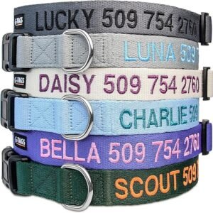 GoTags Personalized Dog Collar, Custom Embroidered Pet ID Dog Collar with Pet Name and Phone Number, Adjustable with Quick Release Snap Buckle