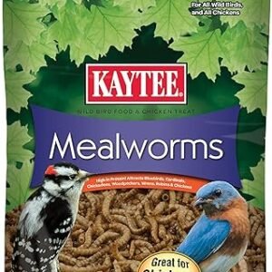 Kaytee Wild Bird Food Mealworms For Bluebirds, Wrens, Robins, Chickadees, Woodpeckers, Cardinals & Chickens, 3.5 Ounce