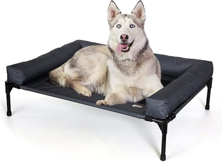 K&H Pet Products Bolster Dog Cot, Cooling Indoor Outdoor Elevated Cot Hammock Dog Bed with Removable Washable Bolsters, Washable Mesh Cover, Raised Metal Frame - Large 42 X 30in Charcoal