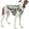 Dog Coats