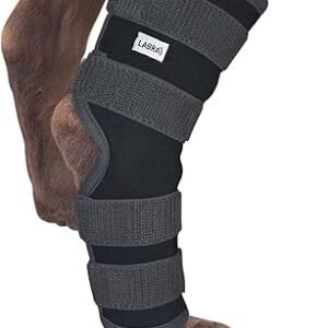Labra Dog Extra Supportive Canine Rear (Hind) Leg Hock Joint Compression Wrap for Recovery, Protection, and Sprain and Injury Prevention, Ankle Brace