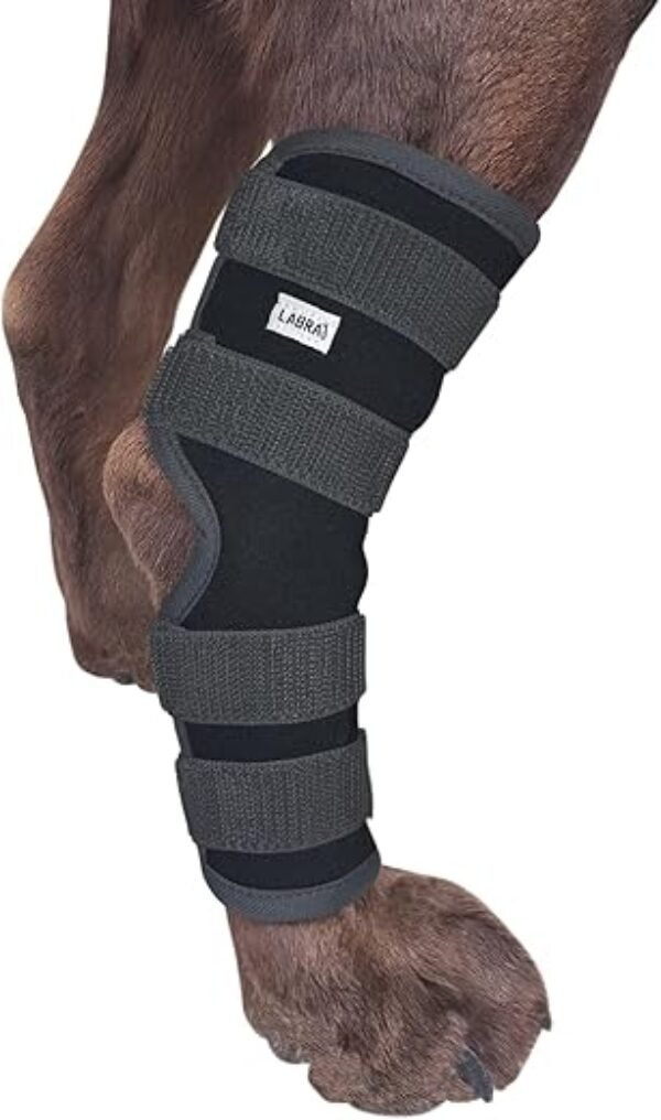 Labra Dog Extra Supportive Canine Rear (Hind) Leg Hock Joint Compression Wrap for Recovery, Protection, and Sprain and Injury Prevention, Ankle Brace
