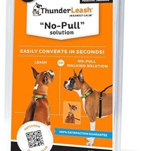 No-Pull Dog Leash (Large (Over 25 lbs), Black)