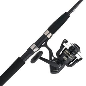 PENN Wrath II Spinning Reel and Fishing Rod Combo
