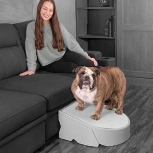 Pet Gear Stramp Stair and Ramp Combination for Dogs/Cats, Easy Step, Lightweight/Portable, Sturdy, Easy Assembly (No Tools Required), Fog