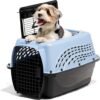 Pet Orthopedics