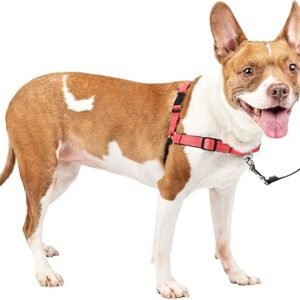 PetSafe Easy Walk Deluxe Dog Harness, No Pull Dog Harness – Perfect for Leash & Harness Training – Stops Pets from Pulling and Choking on Walks – Medium, Rose
