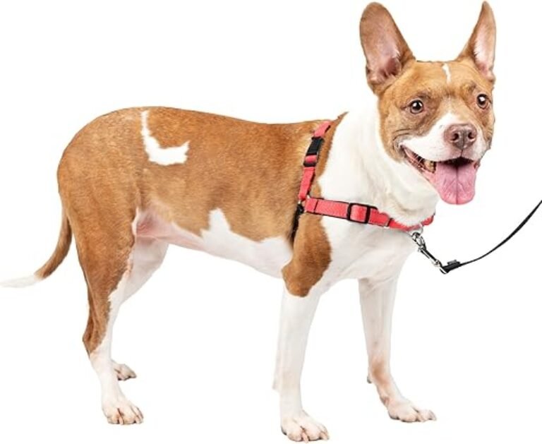 PetSafe Easy Walk Deluxe Dog Harness, No Pull Dog Harness – Perfect for Leash & Harness Training – Stops Pets from Pulling and Choking on Walks – Medium, Rose