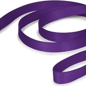 PetSafe Nylon Dog Leash – Strong, Durable, Traditional Style Leash with Easy to Use Bolt Snap – 1" x 6', Deep Purple