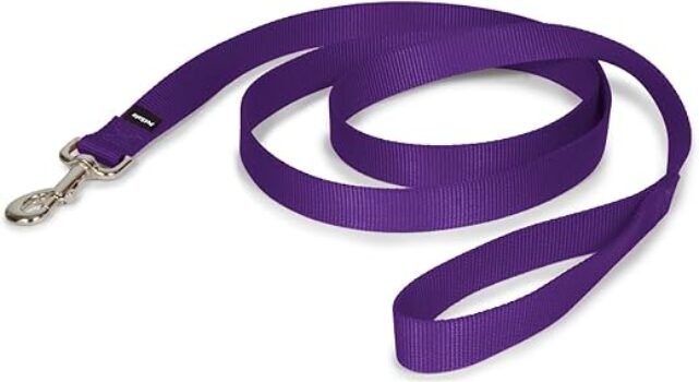 PetSafe Nylon Dog Leash – Strong, Durable, Traditional Style Leash with Easy to Use Bolt Snap – 1" x 6', Deep Purple