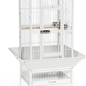 Prevue Pet Products 34512 Dometop Bird Cage, Small, Chalk White