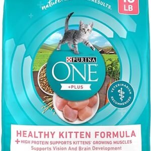 Purina ONE High Protein, Natural Dry Kitten Food, +Plus Healthy Kitten Formula - 16 lb. Bag
