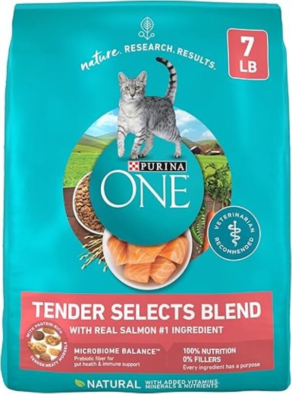 Purina ONE Natural Dry Cat Food, Tender Selects Blend With Real Salmon - 7 lb. Bag