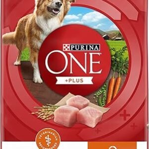 Purina ONE Plus Healthy Weight High-Protein Dog Food Dry Formula - 8 lb. Bag