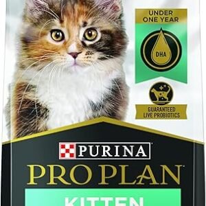 Purina Pro Plan With Probiotics, High Protein Dry Kitten Food, Chicken & Rice Formula - 7 lb. Bag