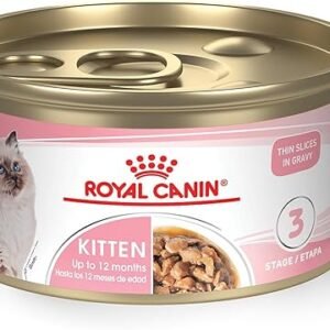 Royal Canin Feline Health Nutrition Kitten Thin Slices in Gravy Canned Cat Food, 3 oz., Count of 24