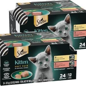 Sheba Perfect Portions Kitten Wet Cat Food Pate Chicken Entree and Salmon Entree, 2.6 oz. Twin-Pack Trays (12 Count, 24 Servings) (Pack of 2)