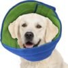 Pet Supplies