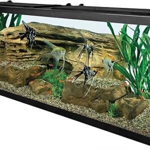 Tetra 55 Gallon Aquarium Kit with Fish Tank, Fish Net, Fish Food, Filter, Heater and Water Conditioners