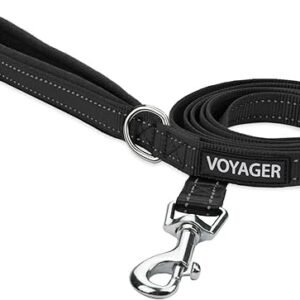 Voyager Reflective Dog Leash with Neoprene Handle, 5ft Long, Supports Small, Medium, and Large Breed Puppies, Cute and Heavy Duty for Walking, Running, and Training - Black (Leash), S