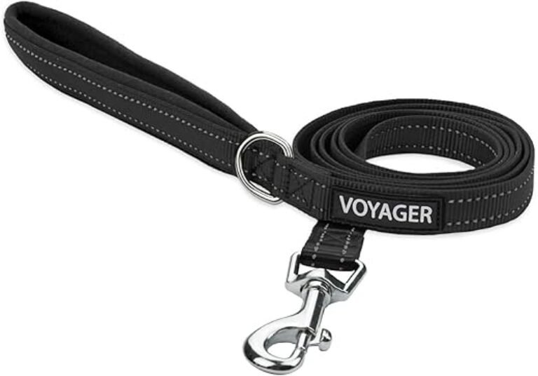 Voyager Reflective Dog Leash with Neoprene Handle, 5ft Long, Supports Small, Medium, and Large Breed Puppies, Cute and Heavy Duty for Walking, Running, and Training - Black (Leash), S