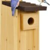 Bird Boxes