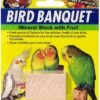 For Birds