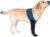 COODEO Dog Socks to Prevent Licking Paws, Dog Healing Boots & Paw Protectors with Non-Slip Bottoms to Protect Wounds, Waterproof Sleeve Dog Shoes for Licking (XXL_Left)