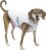 Kurgo Dog Core Cooling Vest