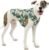 Kurgo Loft Dog Jacket, Reversible Winter Coat for Dogs, Wear with Harness or Sweater, Water Resistant, Reflective, for Small Medium Large Pets (Pressed Leaf, L)