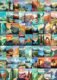 National Parks Puzzle for Adults 1000 Pieces