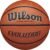 WILSON Evolution Indoor Game Basketballs – Size 5, Size 6 and Size 7